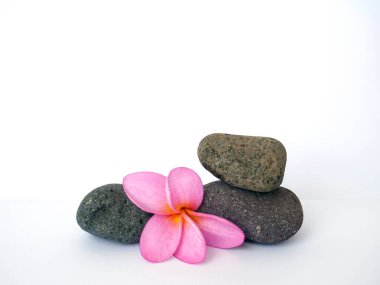 Zen çakıl taşları ve spa çiçeği. Taş kaplıca ve sağlık konsepti.