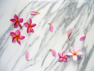 Beyaz mermer arka planda çiçekler ve taç yaprakları