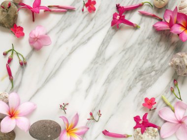 Beyaz mermer bir arka planda izole edilmiş güzel tropikal çiçeklerin çerçevesi