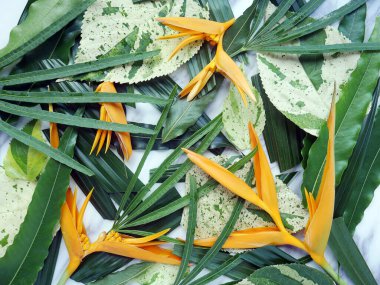 Beyaz mermer desenli arka planda tropik çiçekler ve yapraklar.