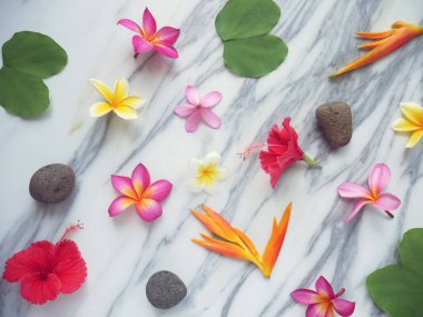 Tropik bahar arkaplanı. Beyaz mermer arka planda taze çiçekler.