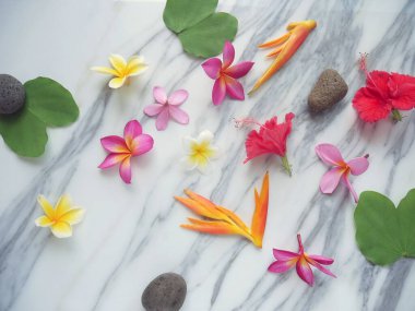 Tropik bahar arkaplanı. Beyaz mermer arka planda taze çiçekler.