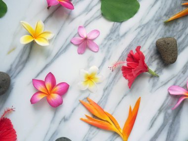 Tropik bahar arkaplanı. Beyaz mermer arka planda taze çiçekler.