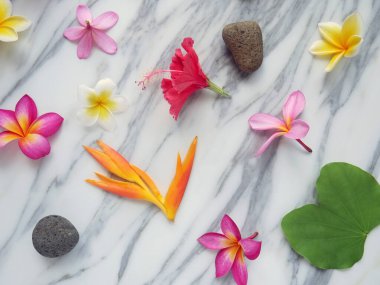 Tropik bahar arkaplanı. Beyaz mermer arka planda taze çiçekler.