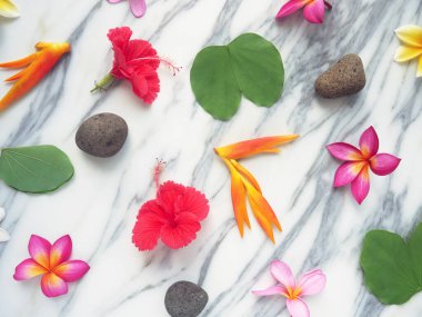 Tropik bahar arkaplanı. Beyaz mermer arka planda taze çiçekler.