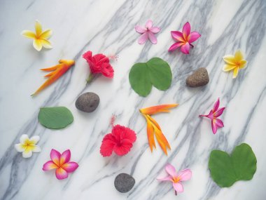 Tropik bahar arkaplanı. Beyaz mermer arka planda taze çiçekler.