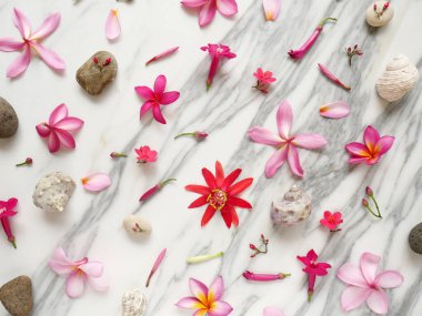 Arka plan için tropik çiçekler, yapraklar, çakıl taşları ve deniz kabukları seti