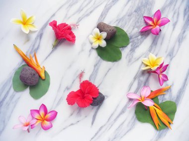 Beyaz mermer arka planda yaprakları olan Frangipani çiçekleri