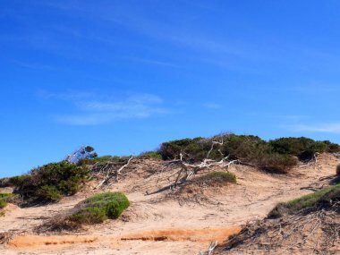 İbiza, İspanya; 2 Ağustos 2021: Mavi gökyüzü ve kristal suyla İbiza adasındaki cennet plajı.