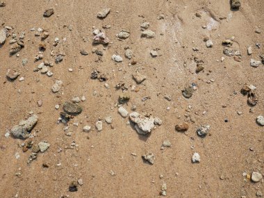 Kumsalda küçük kayalar ve deniz kabukları ile rahatlatıcı arka plan.