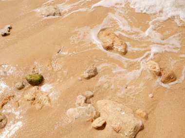 Kumsalda küçük kayalar ve deniz kabukları ile rahatlatıcı arka plan.