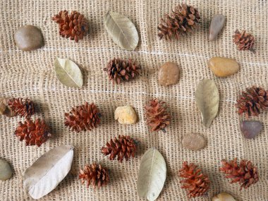 Çam kozalaklarından, kuru yapraklardan, çakıl taşlarından ve çiçeklerden oluşan çuval bezi arka planda sonbahar kompozisyonu.