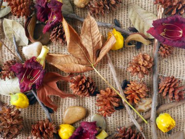 Çam kozalaklarından, kuru yapraklardan, çakıl taşlarından ve çiçeklerden oluşan çuval bezi arka planda sonbahar kompozisyonu.