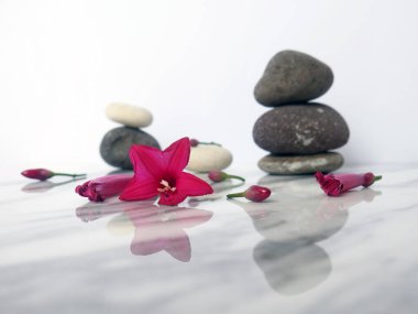 Zen çakıl taşları ve çiçekler. Taş kaplıca ve sağlık sigortası konsepti. Beyaz mermer bir zeminde izole edilmiş.