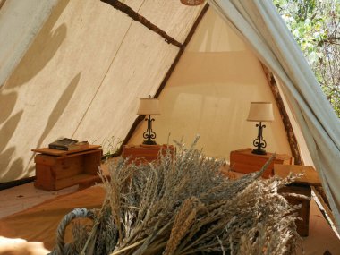 Ormanda iç mekan manzaralı beyaz bir çadır..