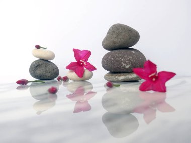 Zen çakıl taşları ve çiçekler. Taş kaplıca ve sağlık sigortası konsepti. Beyaz mermer bir zeminde izole edilmiş.