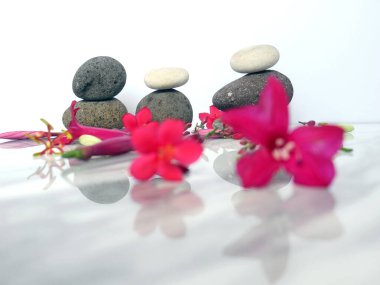 Zen çakıl taşları ve çiçekler. Taş kaplıca ve sağlık sigortası konsepti. Beyaz mermer bir zeminde izole edilmiş.