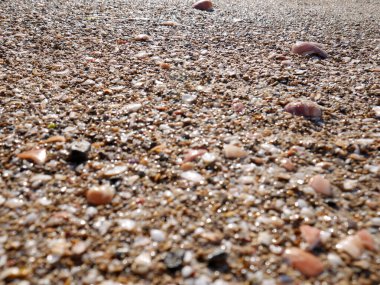 Sahilin arka planında kum, deniz kabuğu ve renkli çakıl taşları var..