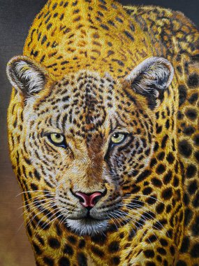 Logo, dövme, iç dekorasyon, tablolar, tekstil ve tişörtler için uygun bir şekilde bir leopar başı tekstil çizimi. Avcı..