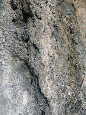 Taşın üzerindeki Liken. Arka plan olarak doğal desenli taş dokusu.