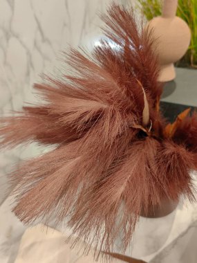 Kurumuş çiçekler ve soluk yumuşak renkler, beyaz panelli ahşap kirişli tavandan baş aşağı sarkan otlar..