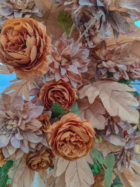 Baharda açan renkli çiçekler, güzel çiçek bahçesi manzarası..