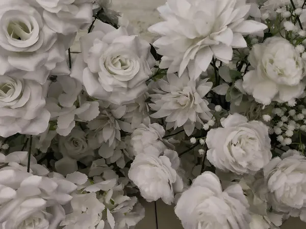 Baharda açan renkli çiçekler, güzel çiçek bahçesi manzarası..