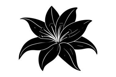 Zarif zambak silueti siyah ve beyaz çizim