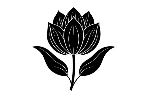 Çiçek açan lale sanat eserleri siyah beyaz çizimler