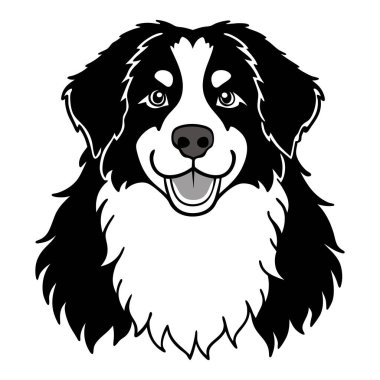 Tüylü Bernese Dağ Köpeği Görünümü