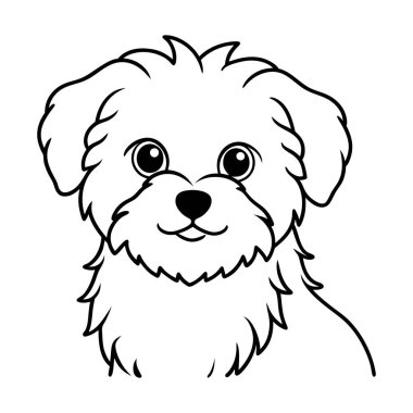 Şirin bir Maltese köpek yavrusu çizimi çizimi çizimi
