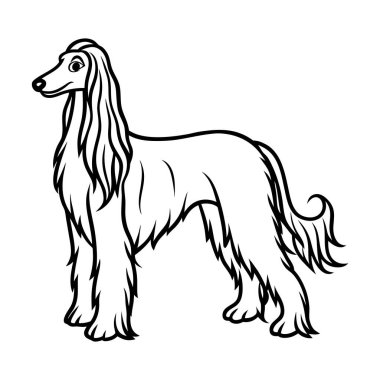 Zarif bir Afgan av köpeğinin çizgi sanatı ipeksi kürklü, uzun burunlu, el çizimi çizgi film çizimleri.