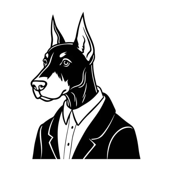 Doberman Pinscher 'ı uyarın, parlak siyah bir ceket giysin.