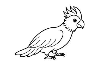 Şirin bir Kakadu eli temiz çizgiler çiziyor.