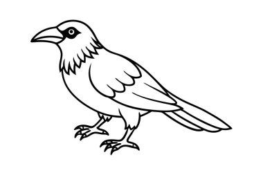 Sevimli bir Karga el, temiz çizgiler çiziyor.