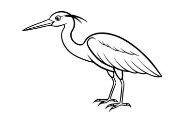 Şirin bir balıkçıl el, temiz çizgiler çiziyor.