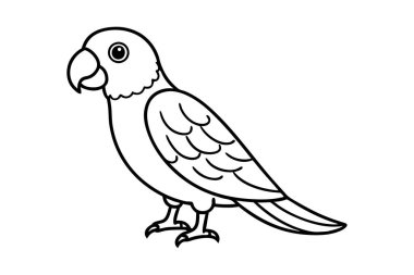 Şirin bir papağan el, temiz çizgiler çiziyor.