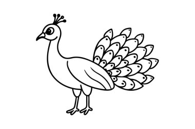 Güzel bir Tavuskuşu eli, temiz çizgiler çiziyor.