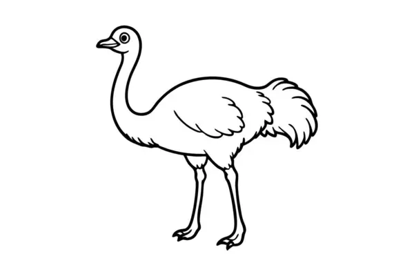 Sevimli bir devekuşu eli temiz çizgiler çiziyor.