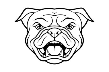 Bir buldog suratının çığlığını çiziyorum.