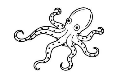 Mavi Halkalı Ahtapot çizgisi çizimi