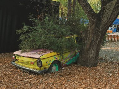 RNI Film uygulaması ile oluşturuldu. Profil 'Agfa Optima 200 Ilık'