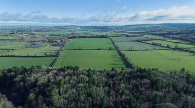 Arka planda ağaçlar olan büyük bir çim tarlası. Gökyüzü açık ve güneş parlıyor. İrlanda 'daki Barlath Ormanı.