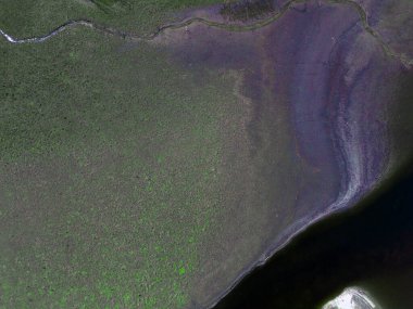 Yukarıdan aşağıya doğru çekilen bir görüntü, bataklık, yeşil ve kahverengi karaların geniş bir kara parçasıyla buluştuğu desenli bir manzarayı gösteriyor. Bataklıkta küçük, dolambaçlı bir dere akıyor..