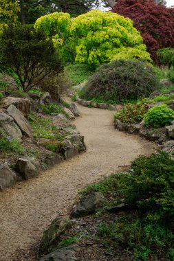 Bahçede yeşil ve kırmızı çalıların karışımı bir patika. Yol çakıl ve kayalardan yapılmıştır.