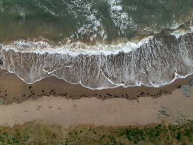 Yukarıdan aşağıya doğru beyaz köpüklü dalgaların kumlu bir sahile çarptığını gösteriyor. Su koyu, biraz bulanık bir renktir.
