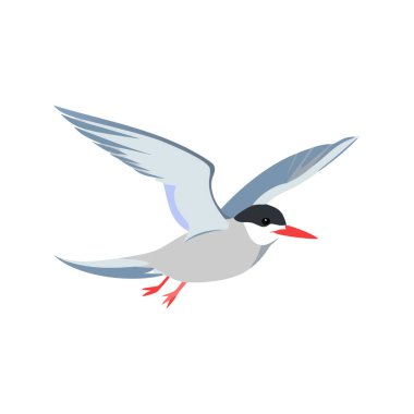 Uçan martının vektör izole görüntüsü. Gagadaki kuş.