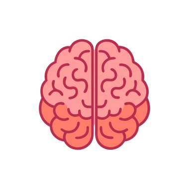Düz bir beyin insan anatomisi simgesi