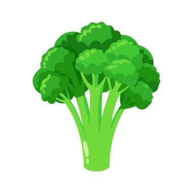 brokoli taze sebze ikonu vektör illüstrasyon grafik tasarımı