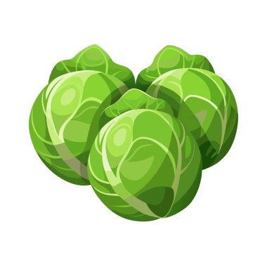 Beyaz arka planda taze yeşil Brüksel lahanası